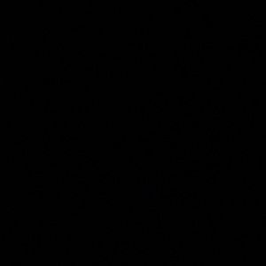 Meet your Posher, Diamond